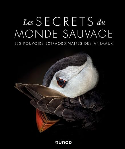 Visuel de Les secrets du monde sauvage - Les pouvoirs extraordinaires des animaux