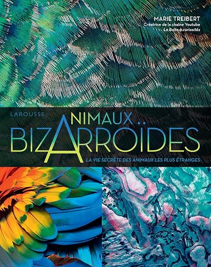 Visuel de Bizarroïdes ! La vie secrète des animaux les plus étranges