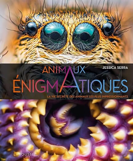Visuel de Enigmatiques - La vie secrète des animaux les plus impressionnants