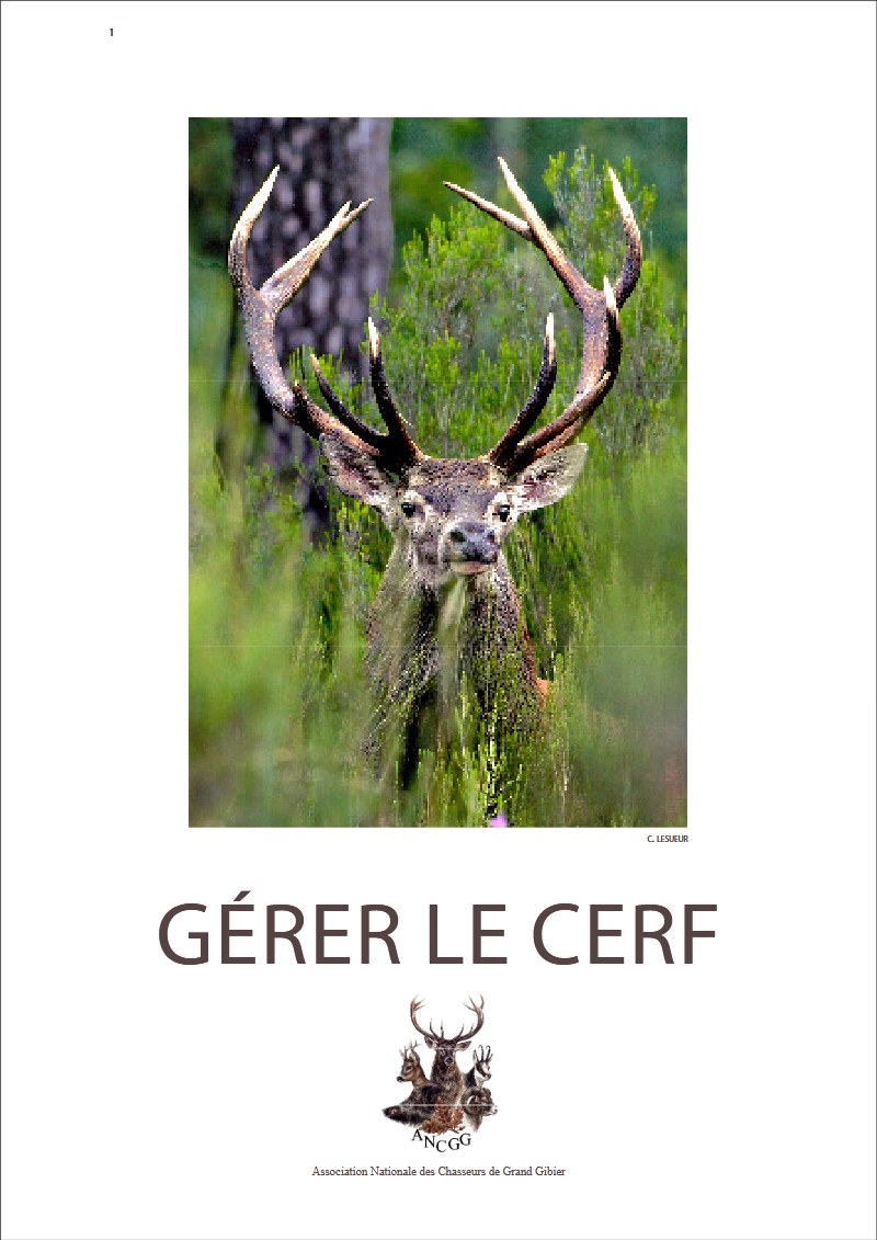 Gérer le cerf pdf